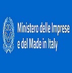Logo MISE